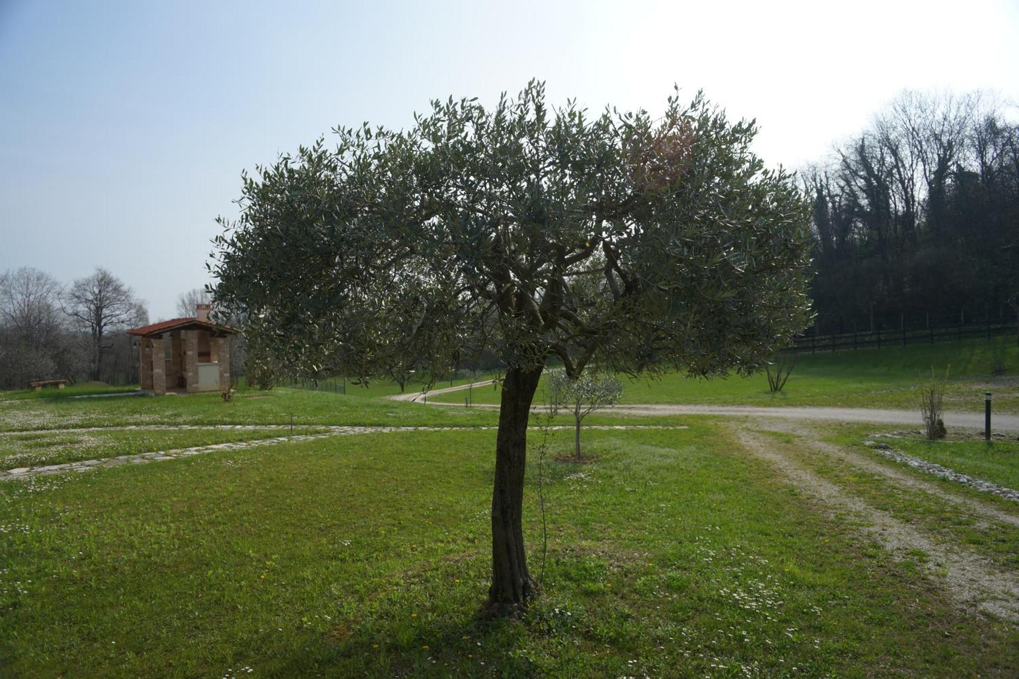 Nikolas' Valley Cornuda Kültér fotó